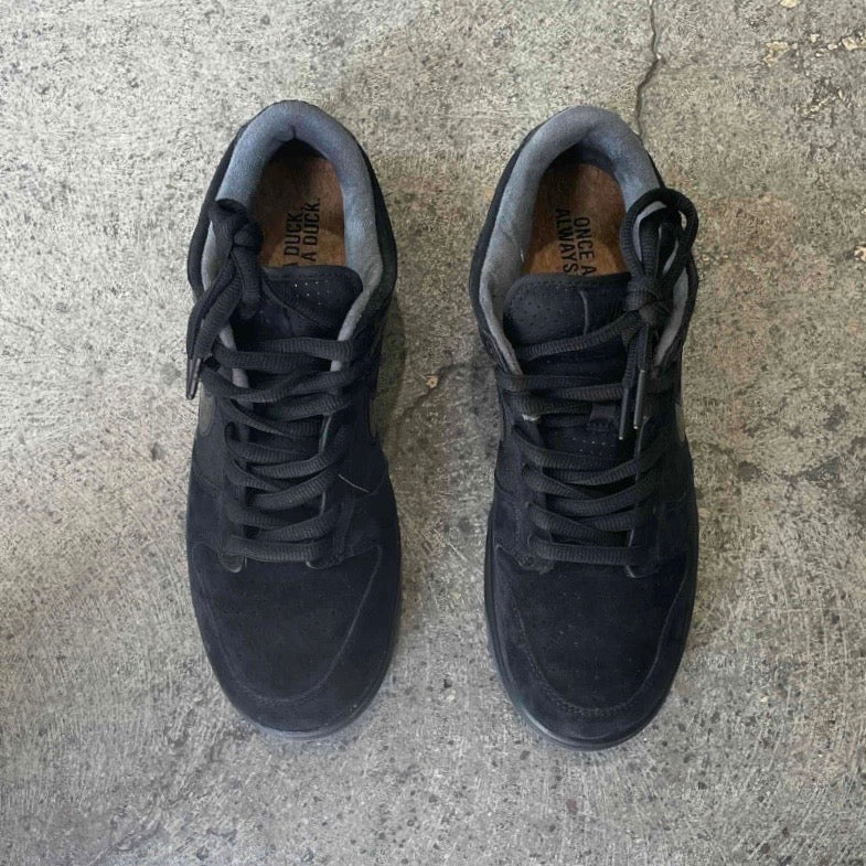 Nike Dunk Low Ducks of a Feather Black University of Oregon PE