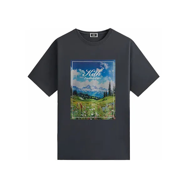 Kith Landscape Vintage Tee Torpedo