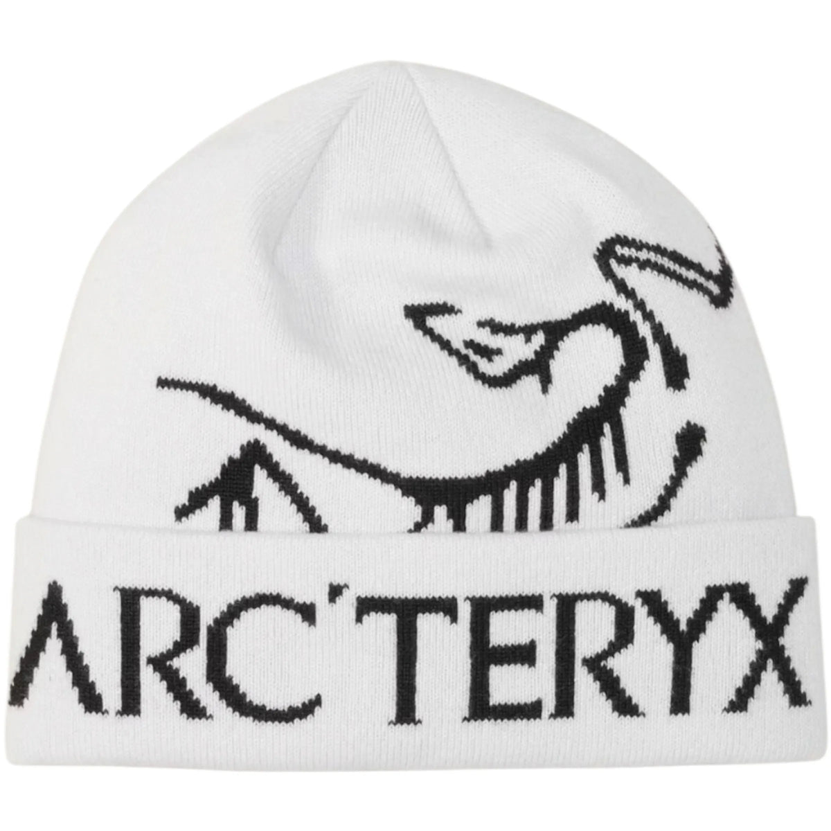Arc'teryx Bird Word Toque Beanie (FW25) Orca