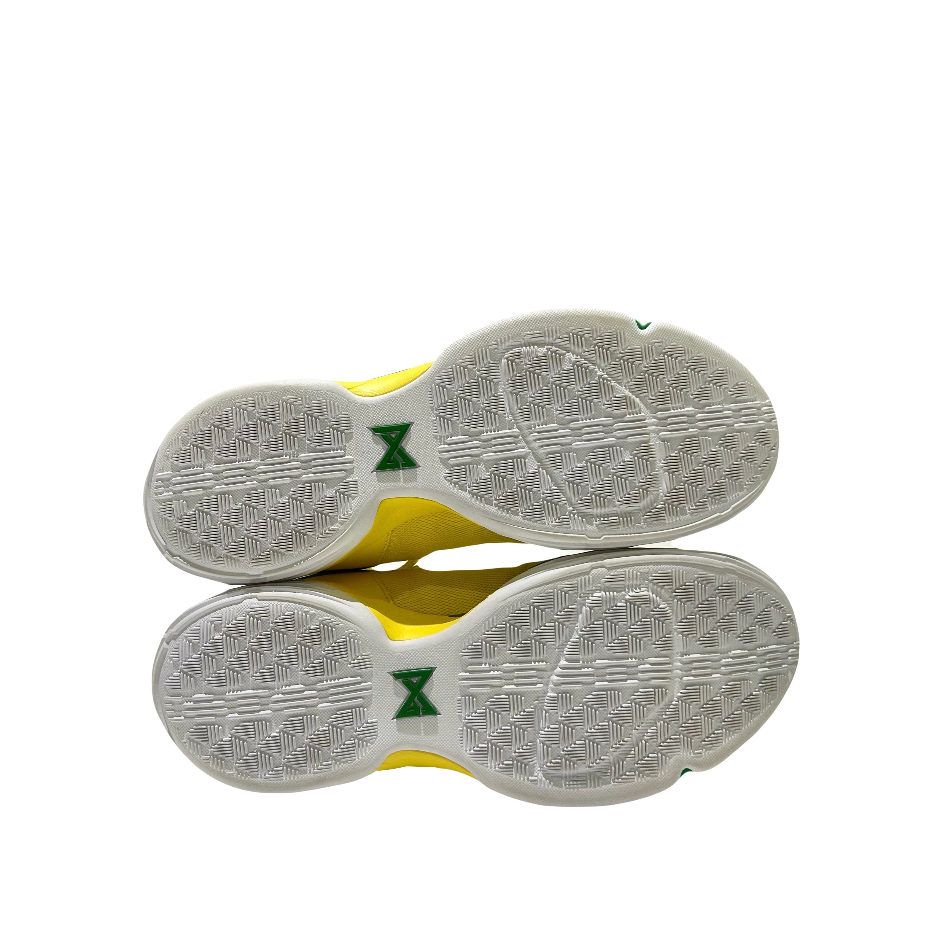 Nike Oregon Ducks PG 1 PE