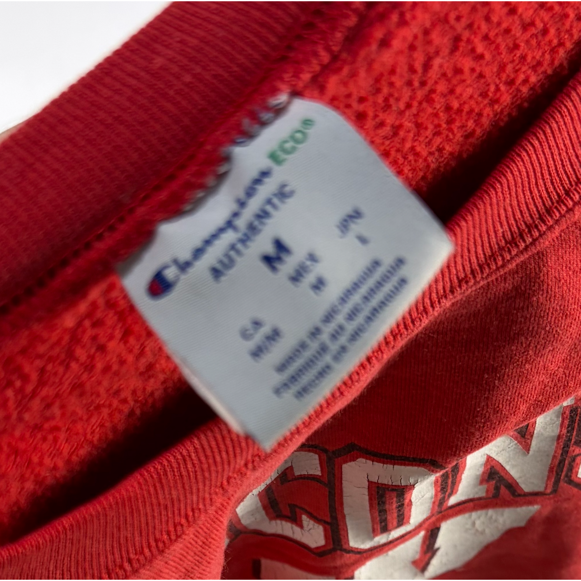 Y2K Champion Wisconsin Crewneck Red