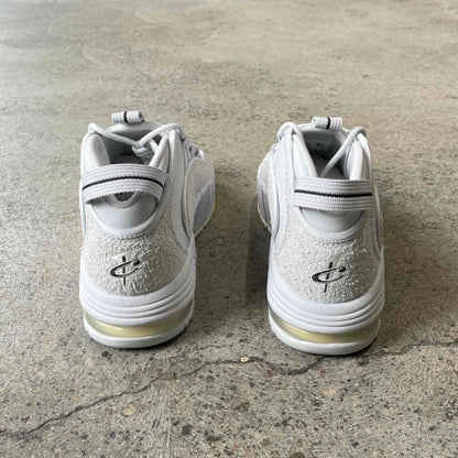 Nike Air Max Penny 1 PRM Photon Dust Summit White