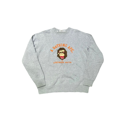Bape Lukewarm Water Chain Stitch Crewneck Grey