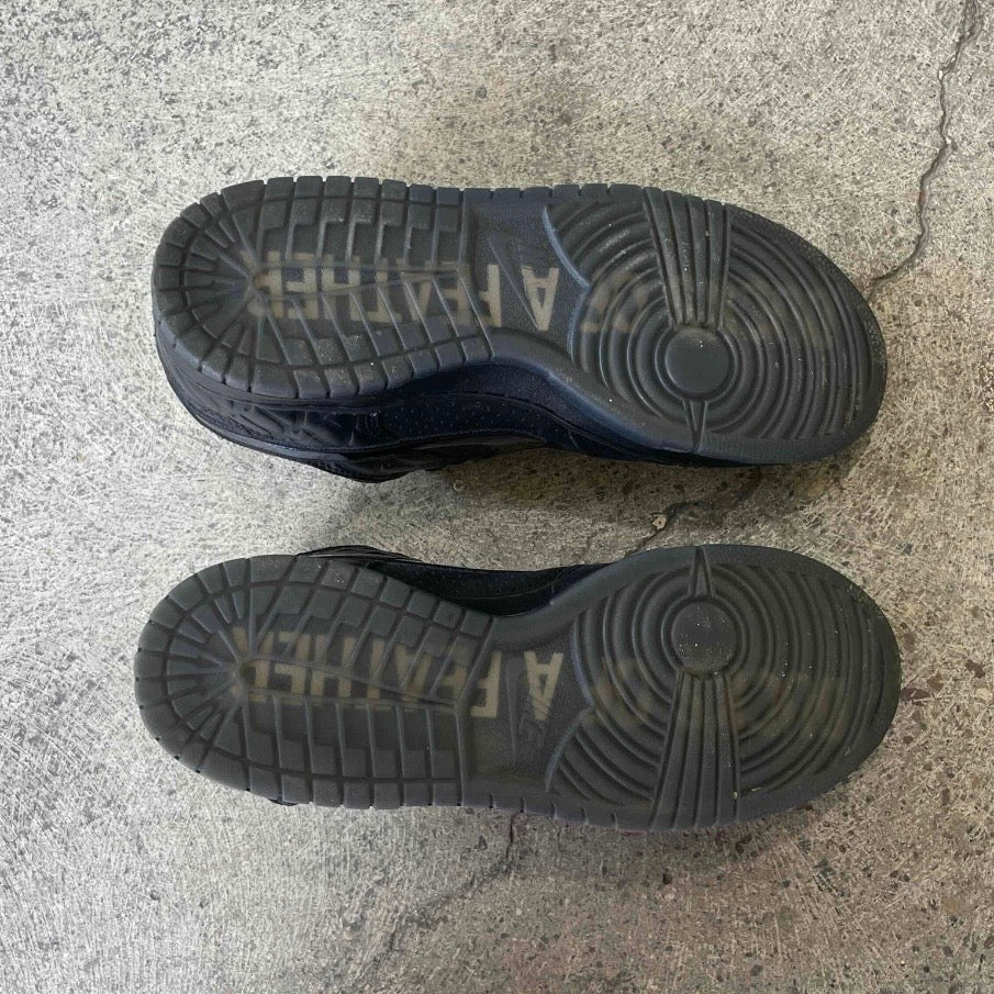 Nike Dunk Low Ducks of a Feather Black University of Oregon PE