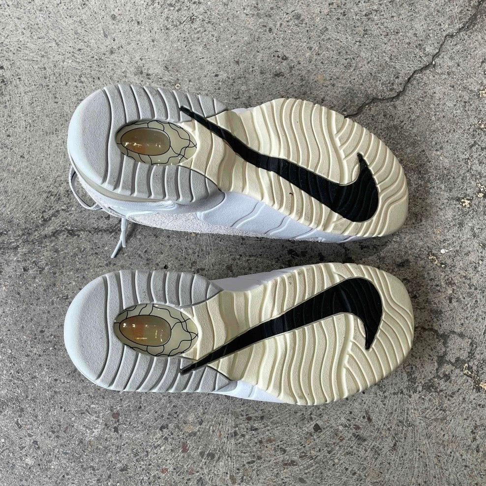 Nike Air Max Penny 1 PRM Photon Dust Summit White