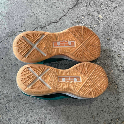 Nike LeBron X Miami Dolphins